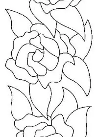 Fisă de colorat cu Flori trandafiri de colorat p01