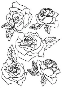 Fisă de colorat cu Flori trandafiri de colorat p02