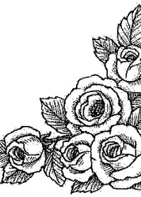 Fisă de colorat cu Flori trandafiri de colorat p05