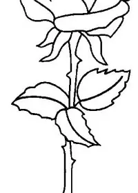 Fisă de colorat cu Flori trandafiri de colorat p06