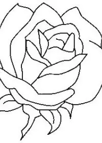 Fisă de colorat cu Flori trandafiri de colorat p08