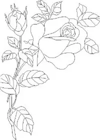 Fisă de colorat cu Flori trandafiri de colorat p10