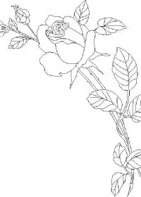 Fisă de colorat cu Flori trandafiri de colorat p11