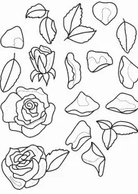 Fisă de colorat cu Flori trandafiri de colorat p14