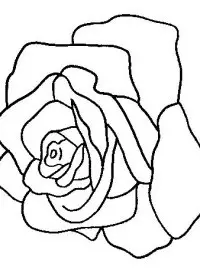 Fisă de colorat cu Flori trandafiri de colorat p19