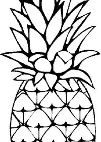 Fisă de colorat cu Fructe ananas de colorat p02