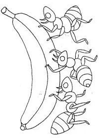 Fisă de colorat cu Fructe banane de colorat p02