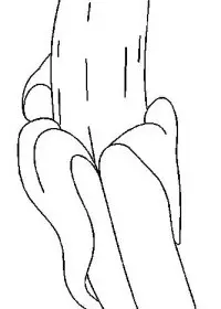 Fisă de colorat cu Fructe banane de colorat p04