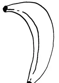 Fisă de colorat cu Fructe banane de colorat p08