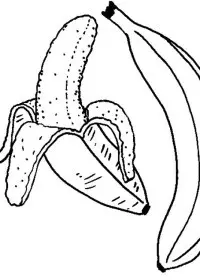 Fisă de colorat cu Fructe banane de colorat p09