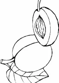 Fisă de colorat cu Fructe caise de colorat p01