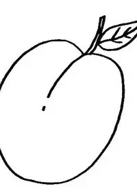 Fisă de colorat cu Fructe caise de colorat p03