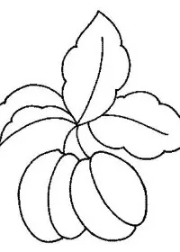 Fisă de colorat cu Fructe caise de colorat p07