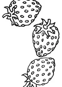 Fisă de colorat cu Fructe capsune de colorat p03