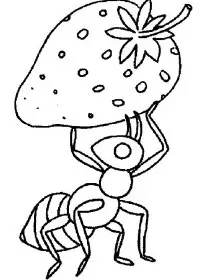 Fisă de colorat cu Fructe capsune de colorat p04