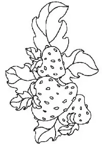 Fisă de colorat cu Fructe capsune de colorat p09