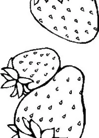 Fisă de colorat cu Fructe capsune de colorat p10