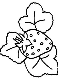 Fisă de colorat cu Fructe capsune de colorat p11