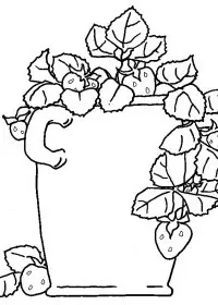 Fisă de colorat cu Fructe capsune de colorat p13