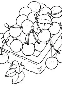 Fisă de colorat cu Fructe cirese de colorat p04
