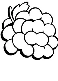 Fisă de colorat cu Fructe de colorat p07