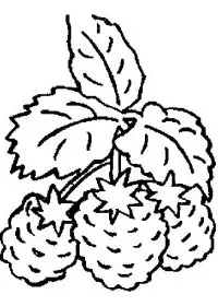 Fisă de colorat cu Fructe de colorat p15