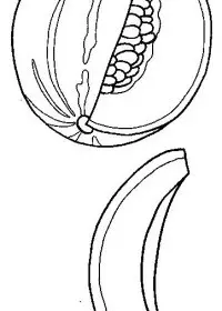 Fisă de colorat cu Fructe de colorat p18