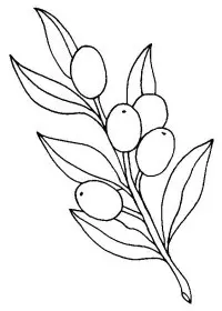 Fisă de colorat cu Fructe de colorat p20