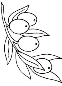 Fisă de colorat cu Fructe de colorat p21