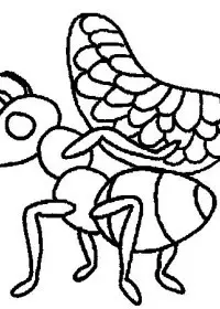 Fisă de colorat cu Fructe de colorat p24