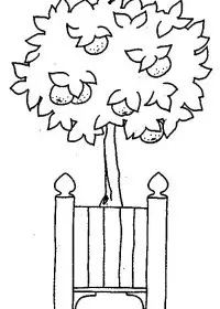 Fisă de colorat cu Fructe de colorat p28