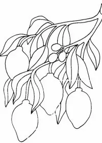 Fisă de colorat cu Fructe lamaie de colorat p04