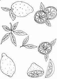 Fisă de colorat cu Fructe lamaie de colorat p06