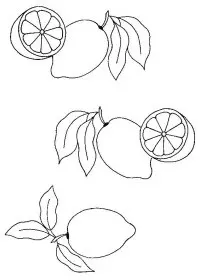 Fisă de colorat cu Fructe lamaie de colorat p11