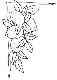 Fisă de colorat cu Fructe lamaie de colorat p15