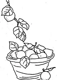 Fisă de colorat cu Fructe lamaie de colorat p16