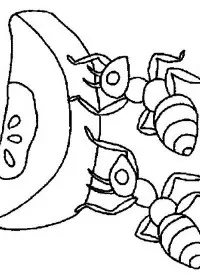 Fisă de colorat cu Fructe mere de colorat p02