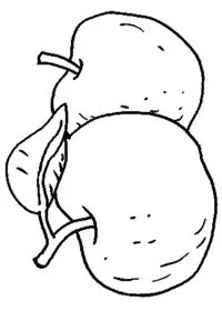 Fisă de colorat cu Fructe mere de colorat p03