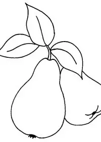 Fisă de colorat cu Fructe pere de colorat p07