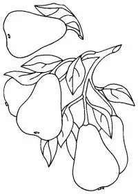 Fisă de colorat cu Fructe pere de colorat p14