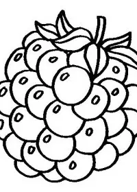 Fisă de colorat cu Fructe si legume de colorat p35