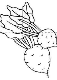 Fisă de colorat cu Fructe si legume de colorat p56