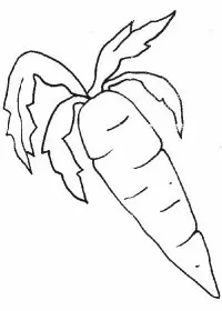 Fisă de colorat cu Fructe si legume de colorat p57