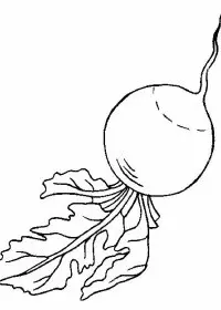 Fisă de colorat cu Fructe si legume de colorat p61