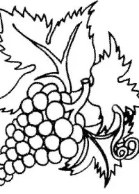 Fisă de colorat cu Fructe struguri de colorat p05