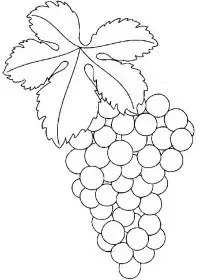 Fisă de colorat cu Fructe struguri de colorat p06