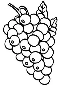 Fisă de colorat cu Fructe struguri de colorat p07