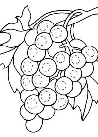 Fisă de colorat cu Fructe struguri de colorat p08