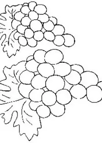Fisă de colorat cu Fructe struguri de colorat p12