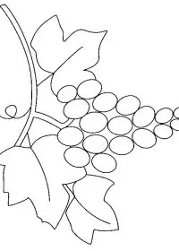 Fisă de colorat cu Fructe struguri de colorat p14